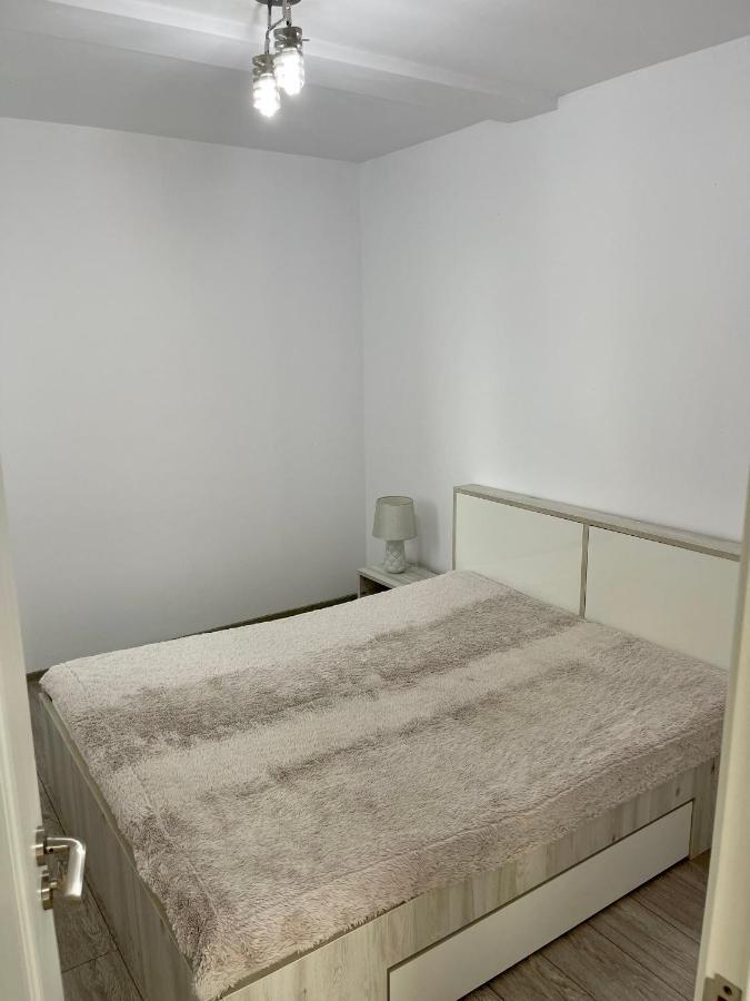 Cosy Place To Stay تيميشورا المظهر الخارجي الصورة